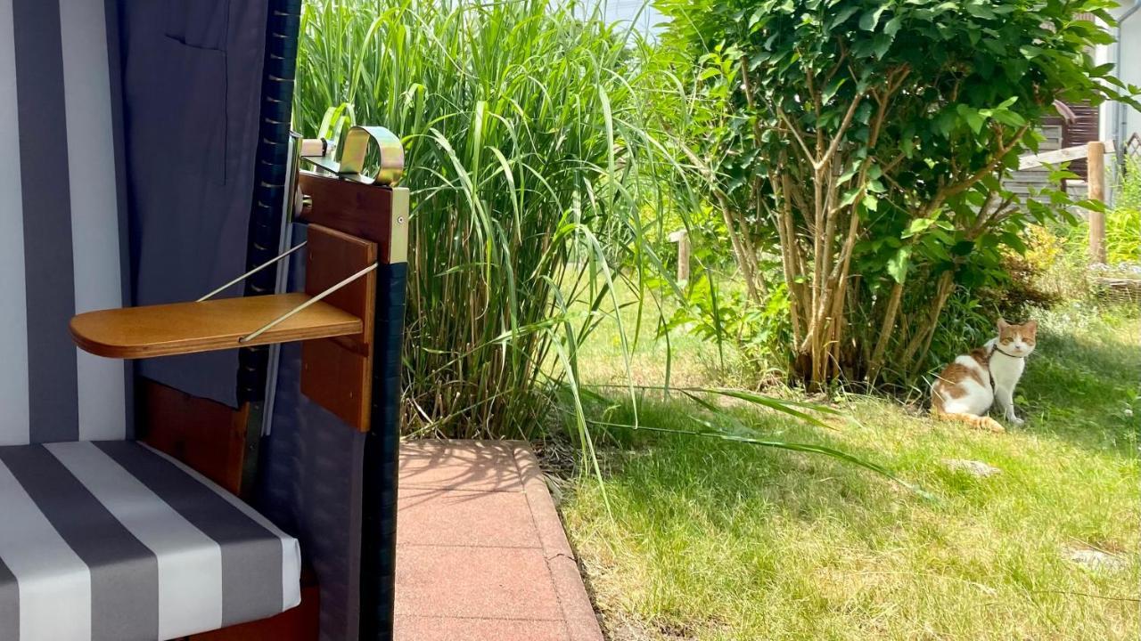 Ferienapartment Casa Heideblick Mit Sonnenterrasse & Garten 라데버그 외부 사진